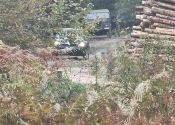 Ushtria serbe thotë se afër kufirit shkuan për të parandaluar kontrabandën me drurë