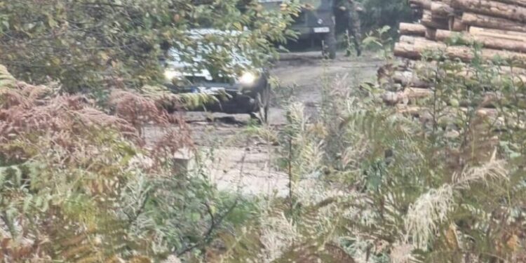 Ushtria serbe thotë se afër kufirit shkuan për të parandaluar kontrabandën me drurë