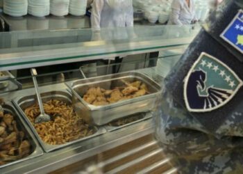 Ish-ushtaraku: Ushqimi për ushtarët e FSK-së duhet të bëhet në kazerma, kurrsesi të bartet