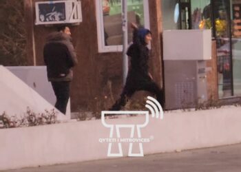 Disa persona sulmuan qentë endacakë te Ura e Ibrit, këta të fundit iu vërsylen duke i detyruar ata të ndërrojnë drejtimin