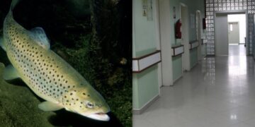 Një fëmijë 2 vjeç ra në bazenin e restorantit në Mitrovicë, dërgohet në Spital në gjendje të rëndë
