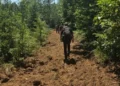 Prokuroria: Radojeviq bashkë me të tjerë fshehën trupat e 23 viktimave në dy varreza